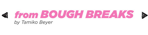 Bough Breaks